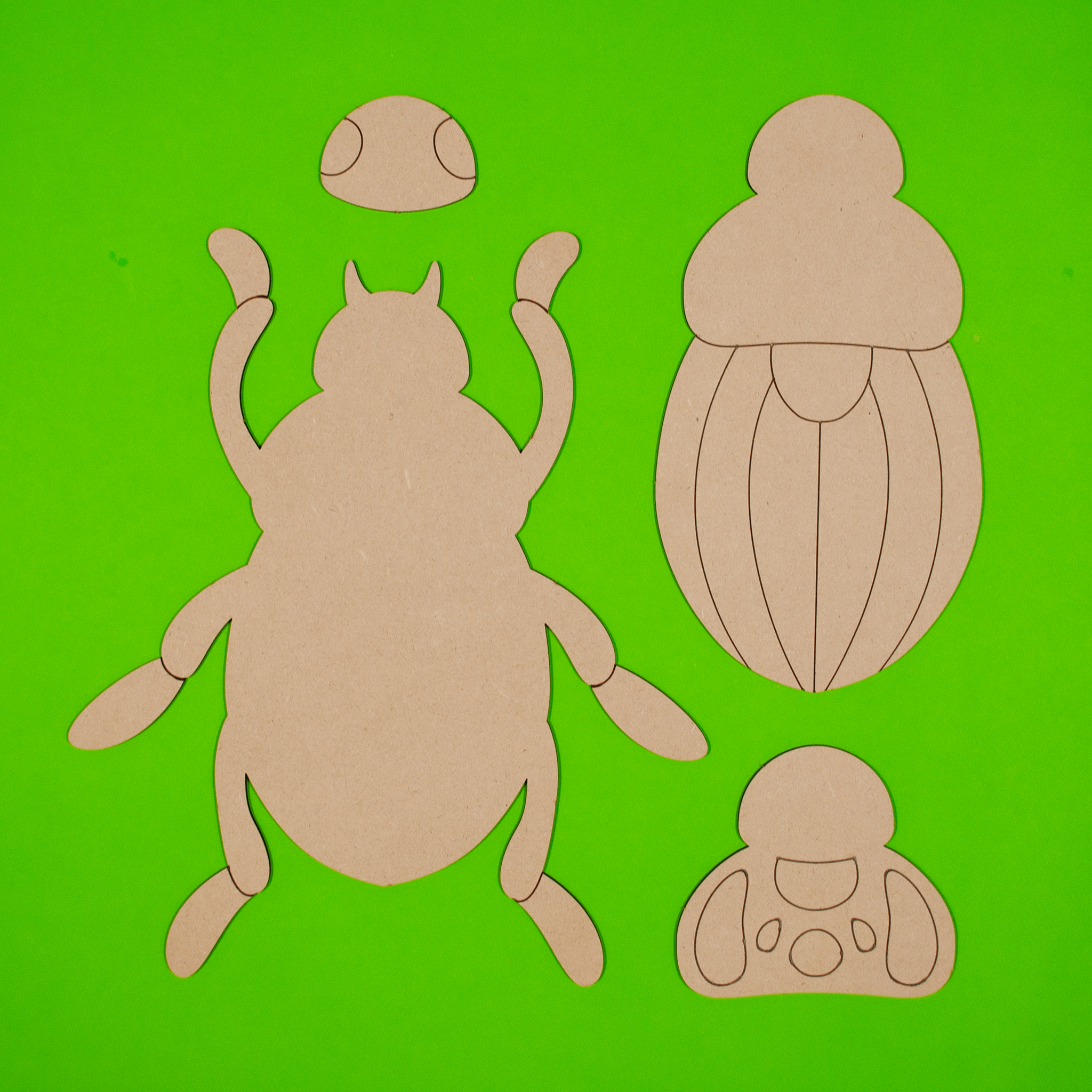 “Jewel” Beetle layered DIY Decor